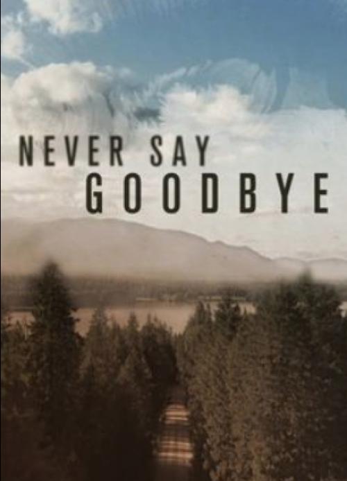 Never Say Goodbye (2019)
