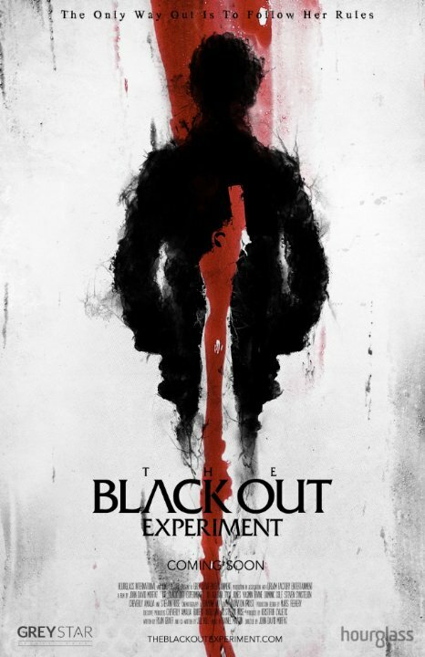 The Blackout Experiment (2014)