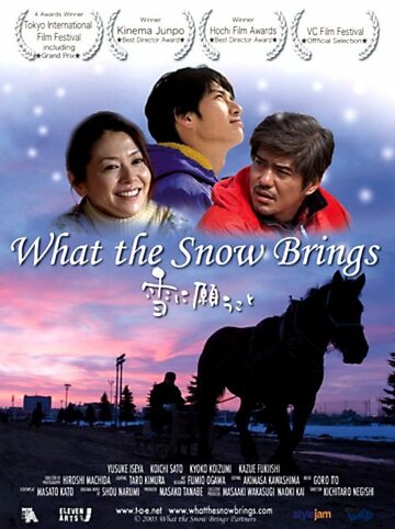 Что приносит снег (2005)