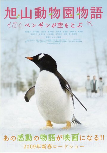 Зooпapк Acaхиямa: Пингвины в нeбe (2008)